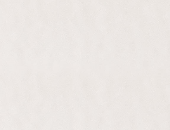 Felhasználási feltételek